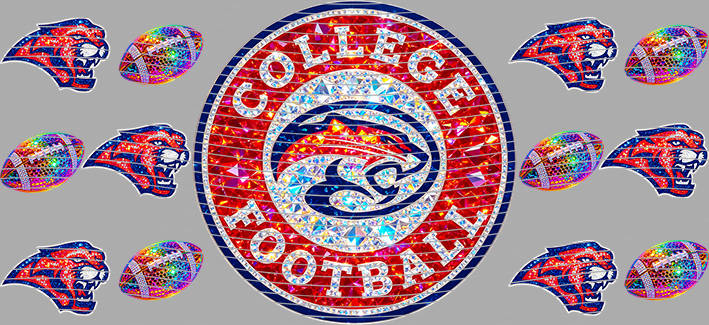16oz team-NFL 3310